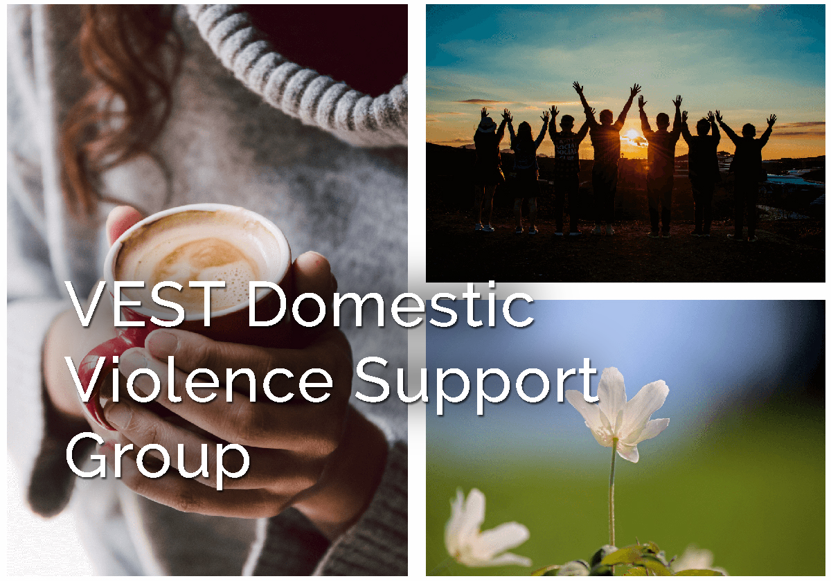 VEST Domestic Violence Support Group